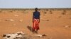 FILE - An internally displaced Somali man looks at the carcass of his dead livestock following severe droughts near Dollow, Gedo Region, Somalia May 26, 2022.
