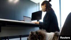 Toramaru, anjing peliharaan Pomeranian berusia enam bulan duduk di sebelah pemiliknya Mayumi Inoue saat dia bekerja di "kantor anjing" eksperimental di sebuah gedung Fujitsu di Kawasaki, Jepang 21 September 2022. REUTERS/Kim Kyung-Hoon