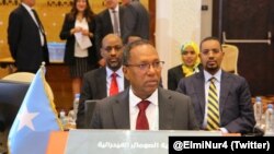 Dr. Elmi Nuur, wasiirkaa maaliyadda Soomaaliya oo ka qeybgalay shirka wasiiradda maaliyadda Jaamacadda Carabta