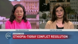 UN Security Council Holds Private Meeting on Ethiopia Conflict