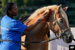 FILE - After finishing a tour in Afghanistan in 2013, Dionne Williamson felt emotionally numb. She eventually found stability through hospitalization and a therapeutic program that incorporates horseback riding. (AP Photo/Susan Walsh)
