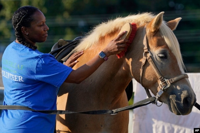 FILE - After finishing a tour in Afghanistan in 2013, Dionne Williamson felt emotionally numb. She eventually found stability through hospitalization and a therapeutic program that incorporates horseback riding. (AP Photo/Susan Walsh)