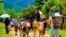 မြန်မာစစ်ဘေးဒုက္ခသည်များ - IDPs။ ဓါတ်ပုံ - မိုင်ညီဝင်းမောင်