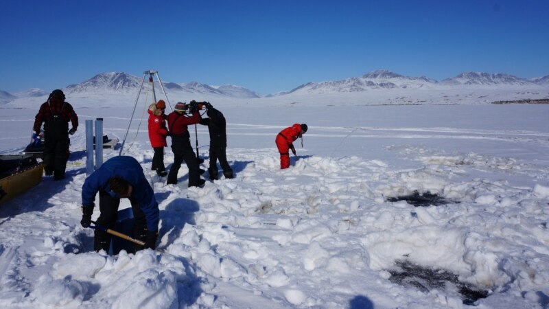 Climate Change May Boost Arctic 'Virus Spillover' Risk