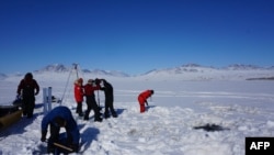 Sejumlah peneliti mengebor lapisan es Danau Hazen di Artik untuk mengampil sampel dalam penelitian mengenai dampak perubahan iklim pada peningkatan risiko penyebaran virus. Pengambilan sampel tersebut dilakukan pada 29 Mei 2017. (Foto: AFP/Graham COLBY)