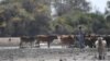 Botswana Farmers Welcome Lifting of EU Beef Export Ban 