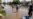 Australia Food Prices Soar as Floods Damage Key Farming Areas
