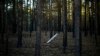 A Russian rocket sticks out of the ground in a forest near Oleksandrivka village, Ukraine, Oct. 6, 2022.