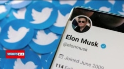 Twitter’ı Satın Alan Musk "Kuş Artık Özgür" Dedi