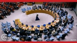 Africa 54:Gabon Assumes Presidency of UN Security Council; Flooding Takes Toll on Farming in Nigeria