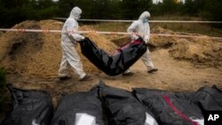 FILE - Members of a forensic team carry a plastic bag with a body inside as they exhume a mass grave in Lyman, Ukraine, Oct. 11, 2022. 