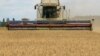 FILE - A combine harvests wheat in a field near the village of Zghurivka, in Kyiv region, Ukraine Aug. 9, 2022. 