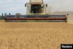FILE - A combine harvests wheat in a field near the village of Zghurivka, amid Russia's attack on Ukraine, in Kyiv region, Ukraine Aug. 9, 2022.
