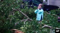 Ian derribó árboles en su avance por el suroeste de Florida el miércoles.
