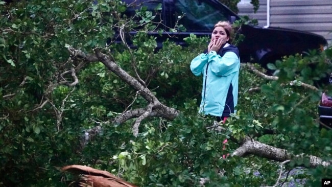 Ian derribó árboles en su avance por el suroeste de Florida el miércoles.