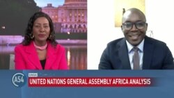 Analysis: African Leaders' UN General Assembly Addresses
