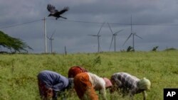 Women work in fields near the windmill farm in Anantapur district, Andhra Pradesh, India, Sept 14, 2022. India is investing heavily in renewable energy and has committed to producing 50% of its power from clean energy sources by 2030.