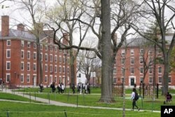 Sejumlah mahasiswa berjalan melewati Harvard Yard, 27 April 2022, di kampus Universitas Harvard di Cambridge. (Foto: AP)