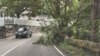 Ramas y troncos de árboles cayeron en distintas vías de Caracas, Venezuela, luego de las lluvias acompañadas con ráfagas de vientos el jueves, 29 de septiembre de 2022.
