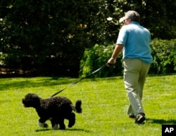 FILE - Dale Haney takes the first pet Bo for a stroll on the South Lawn of the White House in Washington, April 27, 2009. Haney has tended the lawns and gardens of the White House for 50 years. (AP Photo/Gerald Herbert, File)