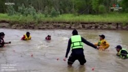 Բոլիվիայում փրկել են վարդագույն դելֆինների_1.mp4