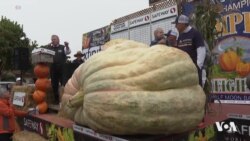 پێشبڕکێی بەرهەمە کشتوکاڵییەکانی ئەمەریکا