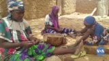🇲🇱Lakana Baliya Ni dankarili Koro Togodala dugu diallassagou circle of bankass kɔnɔ