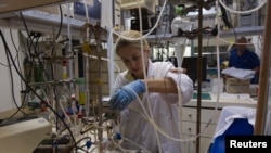 Seorang mahasiswa tampak menyusun sejumlah perlengkapan laboratorium di Universitas Ariel di Tepi Barat, pada 13 September 2012. (Foto: Reuters/Ronen Zvulun)