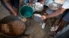 WFP: 3.6 Million Haitians Face Food Insecurity