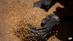 FILE - An Ethiopian woman scoops up portions of yellow split peas to be allocated to waiting families after it was distributed by the Relief Society of Tigray in the town of Agula, in the Tigray region of northern Ethiopia, on May 8, 2021.