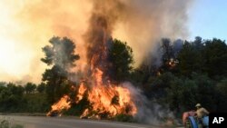 Seorang petani tampak mengendarai traktornya melewati area yang terbakar di Desa Krestena, sekitar 320 kilometer dari Athena, Yunani, pada 24 Juli 2022. (Foto: ilialive.gr via AP/Giannis Spyrounis)