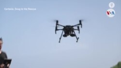 Drones salvan animales de edificios bombardeados en Ucrania