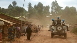 La RDC reçoit la visite d'une délégation du Conseil de sécurité de l'ONU