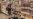 16x9 Image