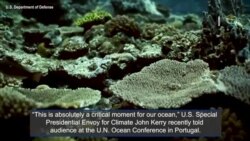 A Critical Moment for Our Oceans