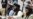 Nearly 30 Nations Engage With Taliban at Tashkent Conference