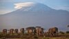 ប្រទេស​តង់សានី​ដំឡើង​អ៊ីនធឺណិត​ល្បឿន​លឿន​នៅ​លើ​ភ្នំ Kilimanjaro