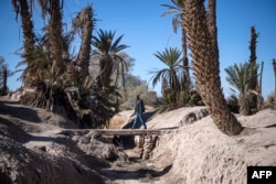 Seorang pria berjalan di atas saluran irigasi kering di oasis Maroko di Skoura, 27 Januari 2020. (FADEL SENNA / AFP)