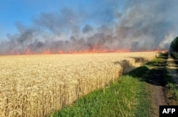 Petugas pemadam kebakaran memadamkan api di ladang gandum yang terbakar akibat penembakan di wilayah Mykolaiv, di tengah invasi militer Rusia ke Ukraina. (Foto: AFP)