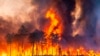 Cháy rừng gây chết chóc và tàn phá Địa Trung Hải 