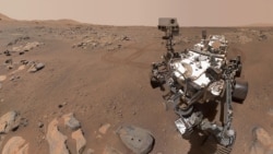 NASA Rover Captures Rock Appearing Imaginable Indicators of Microbial Lifestyles
