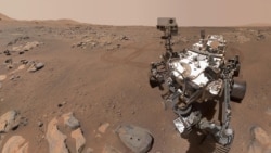 Quiz - NASA Rover Captures Rock Sowing Possible Signs of Microbial Life