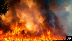 This photo provided by the fire brigade of the Gironde region (SDIS 33) shows a wildfire near Landiras, southwestern France, Saturday July 16, 2022. Strong winds and hot, dry weather are frustrating French firefighters' efforts to contain a huge wildfire that raced across pine forests in the Bordeaux region.