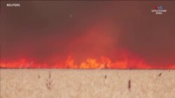 Տղամարդը փորձում է փախչել անտառային հրդեհից_1.mp4