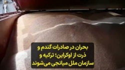 بحران در صادرات گندم و ذرت از اوکراین؛ ترکیه و سازمان ملل میانجی می‌شوند