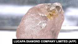 Esta foto sem data divulgada pela Lucapa Diamond Company Limited em 27 de julho de 2022 mostra um diamante rosa de 170 quilates - apelidado de Lulo Rose