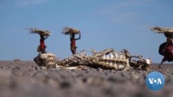 Drought & Ukraine War Leaves Kenya Hungry