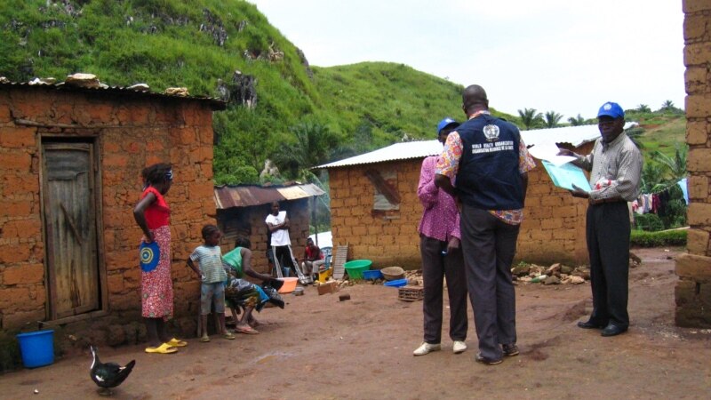 Virus de Marburg : une province de Guinée équatoriale en quarantaine
