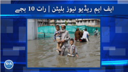 ایف ایم ریڈیو نیوز بلیٹن : رات 10 بجے