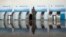 Un viajero pide ayuda mientras se registra en una ventanilla de American Airlines en el Aeropuerto Nacional Ronald Reagan en Washington DC, el 15 de marzo de 2019.